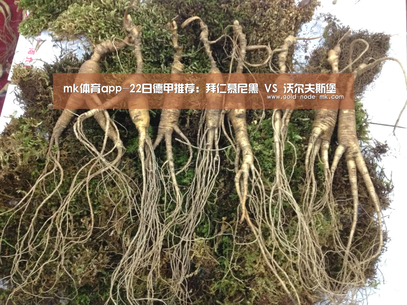 mk体育下载