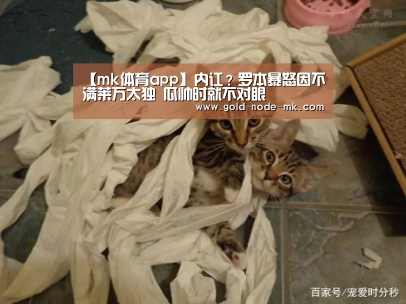 【mk体育app】内讧?罗本暴怒因不满莱万太独 瓜帅时就不对眼(图2) mk体育在线